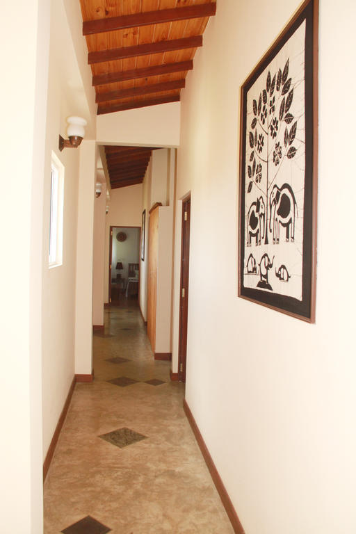 Blue Elephant Tourist Guesthouse Kudapaduwa Exterior foto
